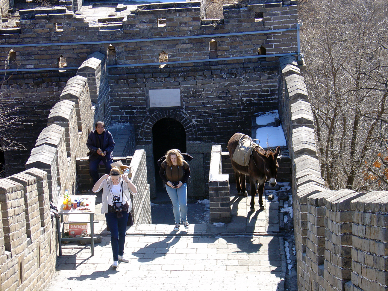 A local vendor with his donkey