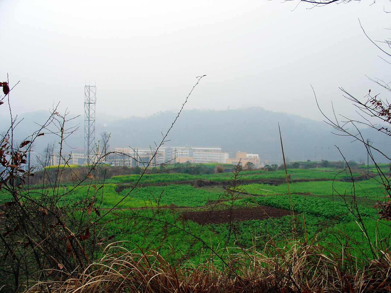 The school, photographed from the hill