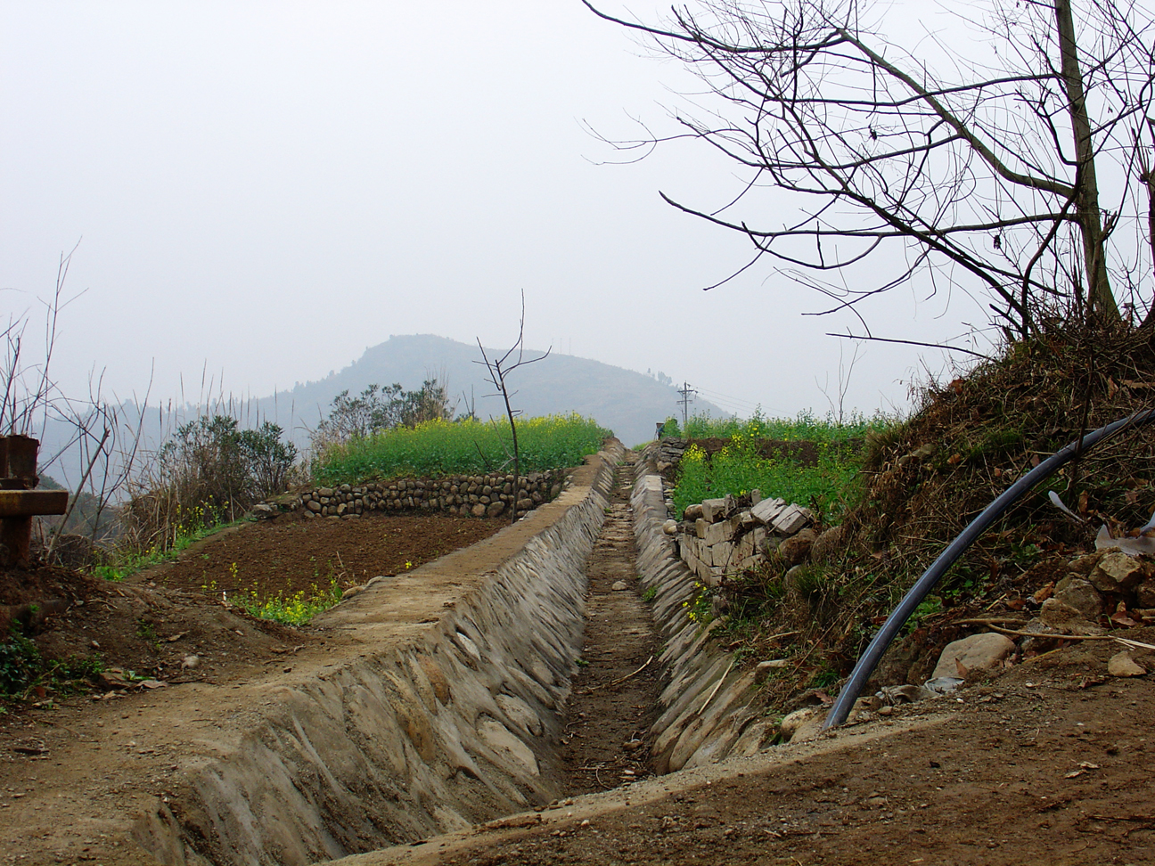 A path between the crop fields