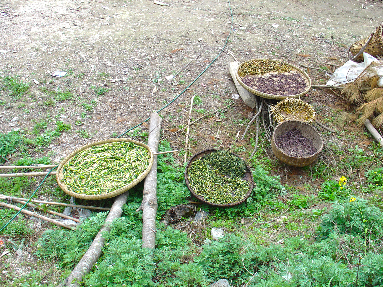 The small village on the hills II - Drying vegetables