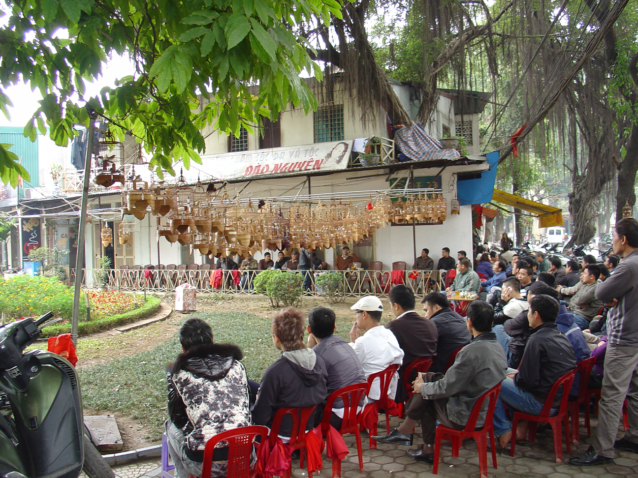 A crowd of people drinking tea and watching birds in the morning