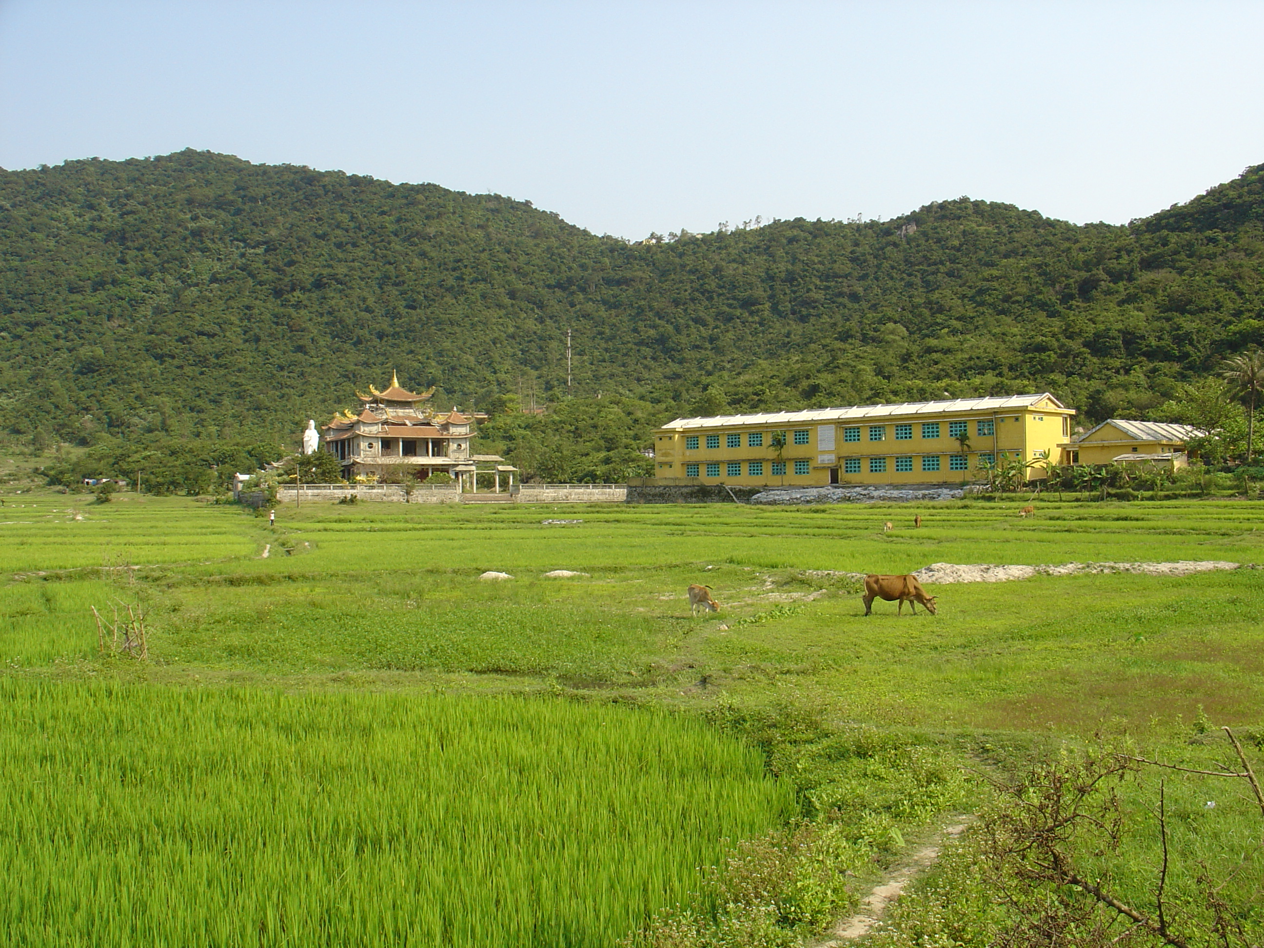 A temple and a school on Cham Islands.