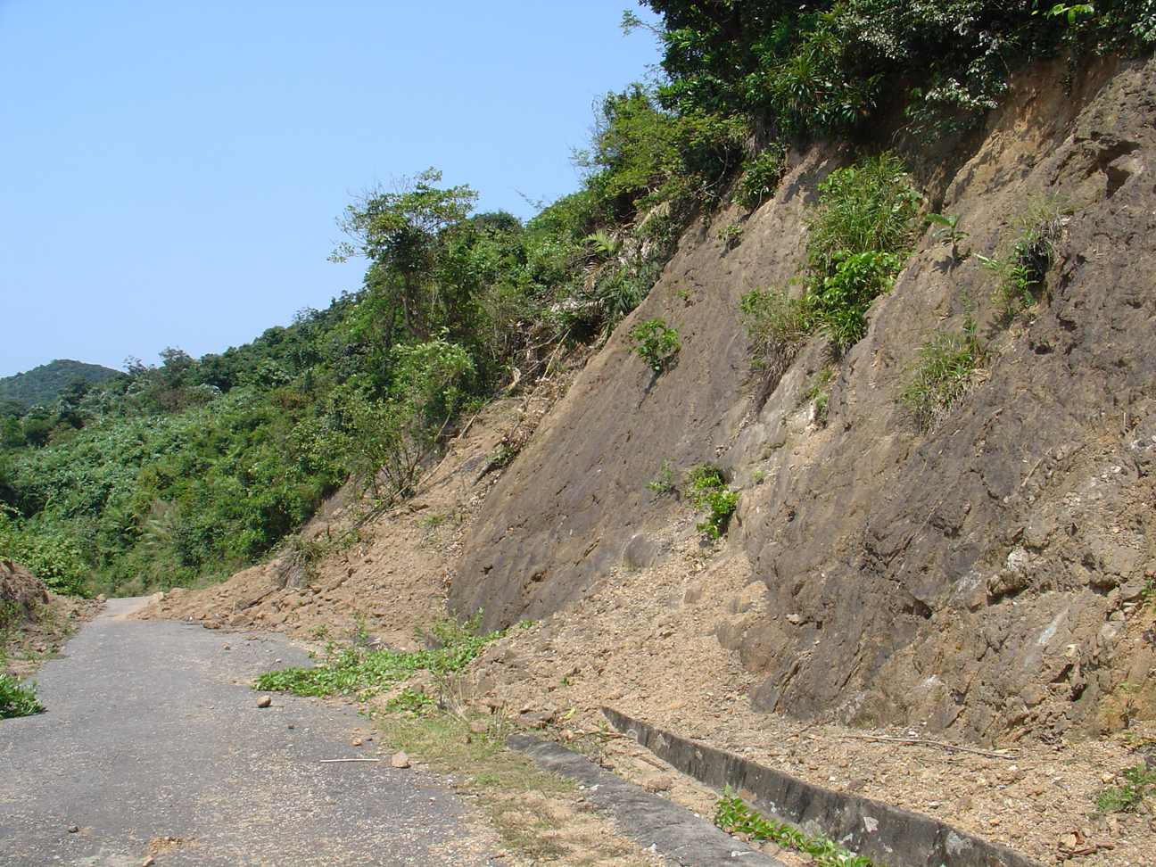 A road on Cham Island.
