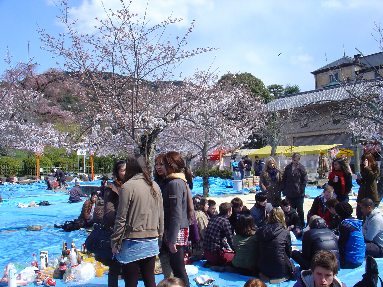 The group of international students at Hanami.