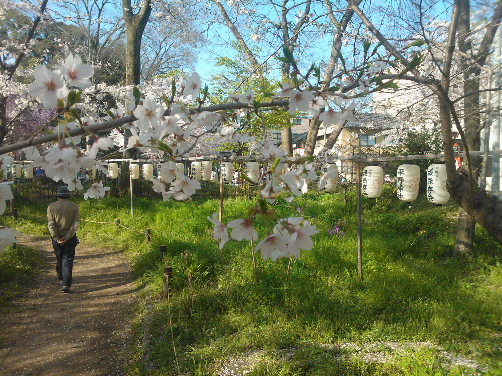 A woman walking along the path.