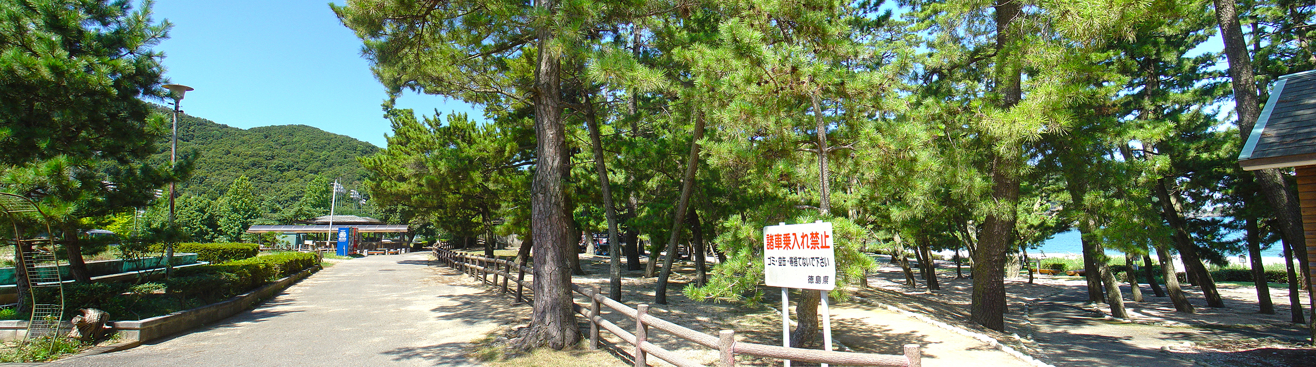 The area around Omiko.