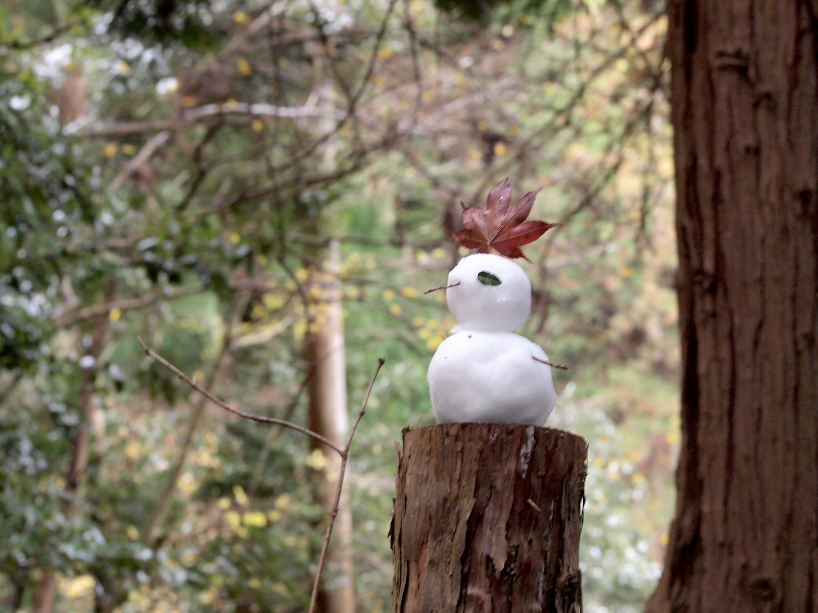A tiny snowman on the way uphill to Mount Hiei