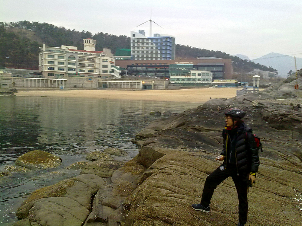 My companion at the sea. The Jimbjilbang we stayed can be seen in the background.