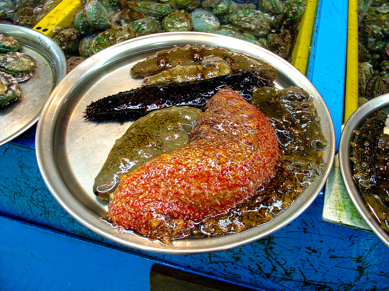 Busan (부산) Fish Market - Sea Cucumber